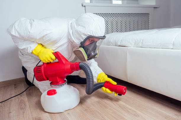 Best Insect Control  in West Homestead, PA