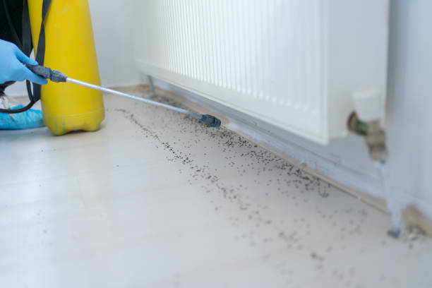 Pest Prevention Services in West Homestead, PA